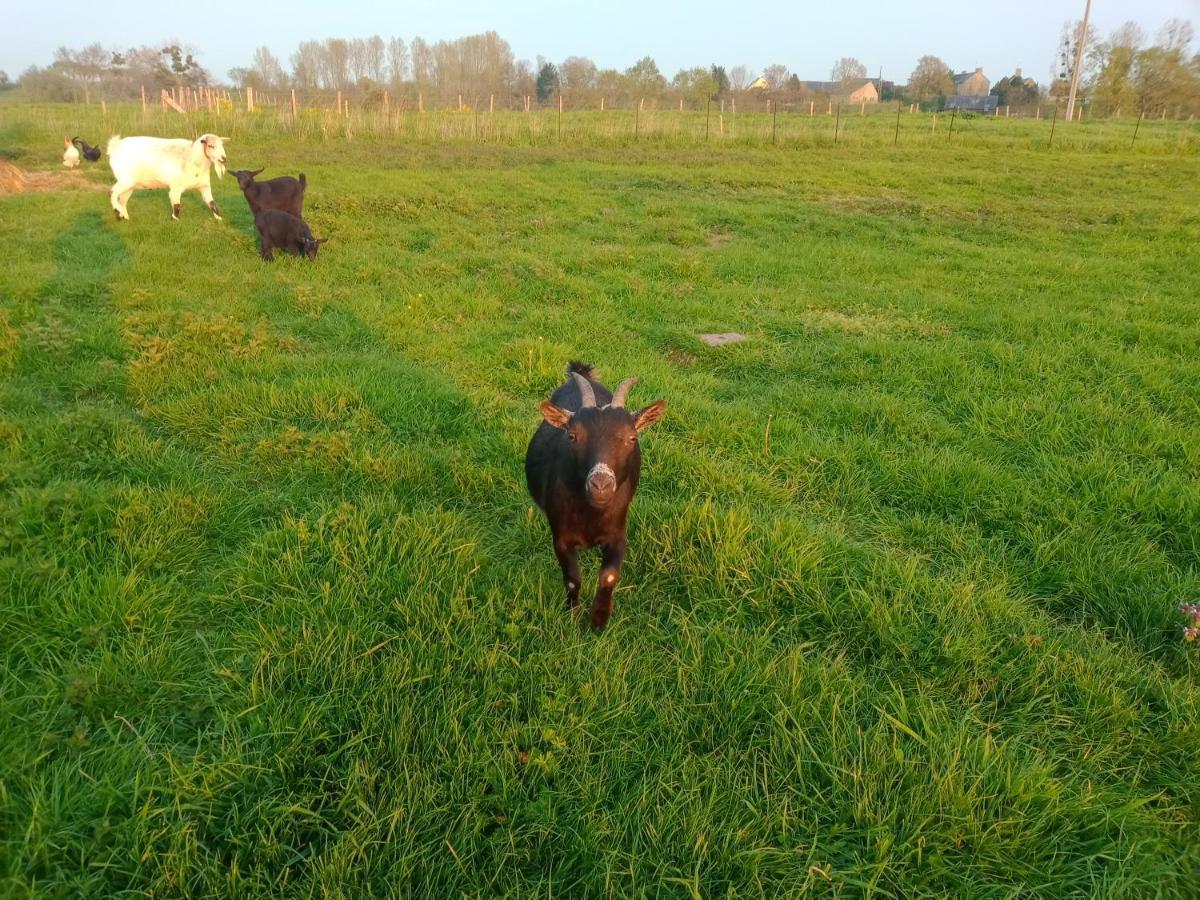 La Ferme D' Emerentine Vakantiehuis Bacilly