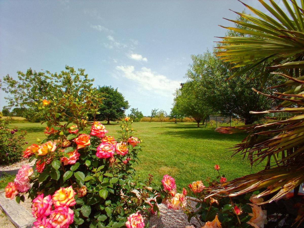 La Ferme D' Emerentine * Bacilly